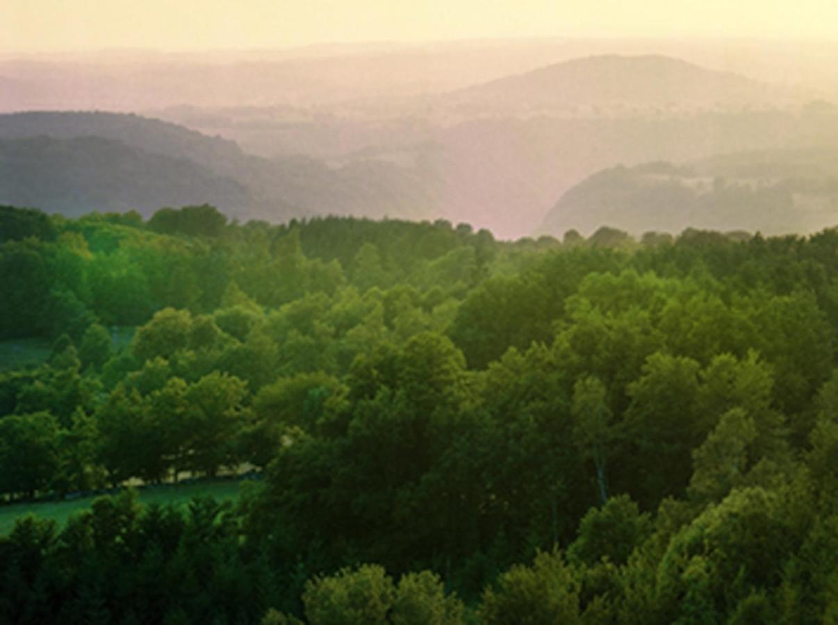 Yourtes De Vassiviere Peyrat-le-Château Εξωτερικό φωτογραφία